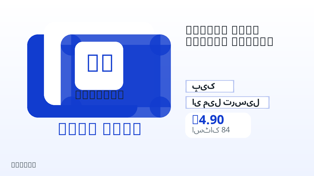 ادائیگی سے پہلے پروڈکٹ نوٹس، پلیٹ فارم قواعد، علاقہ، ای میل، منتخب نیٹ ورک، درست رقم، ترسیل، refund حدود اور مجاز استعمال چیک کریں۔